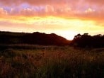 Sunsets Sunsets